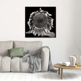Sun Flower