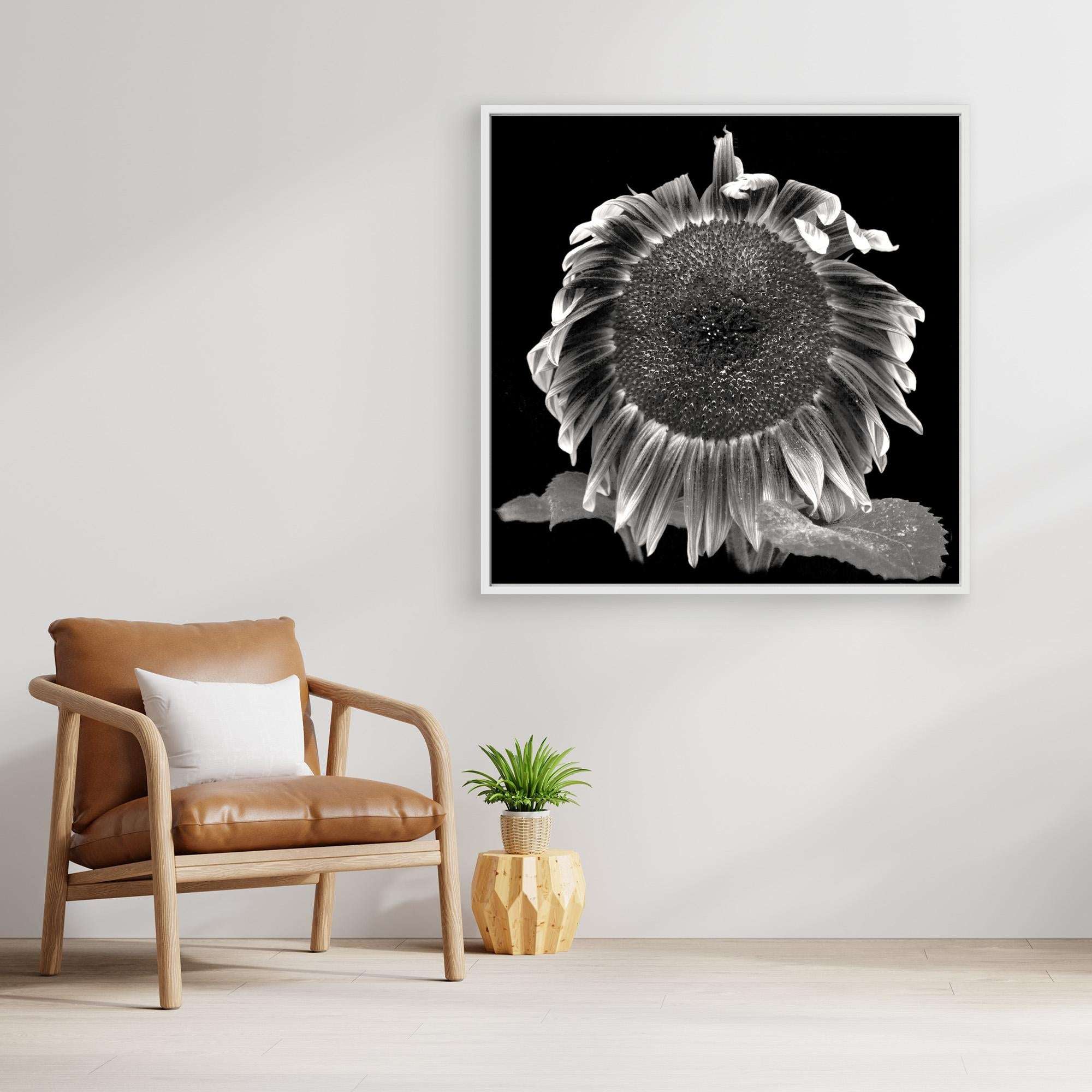 Sun Flower