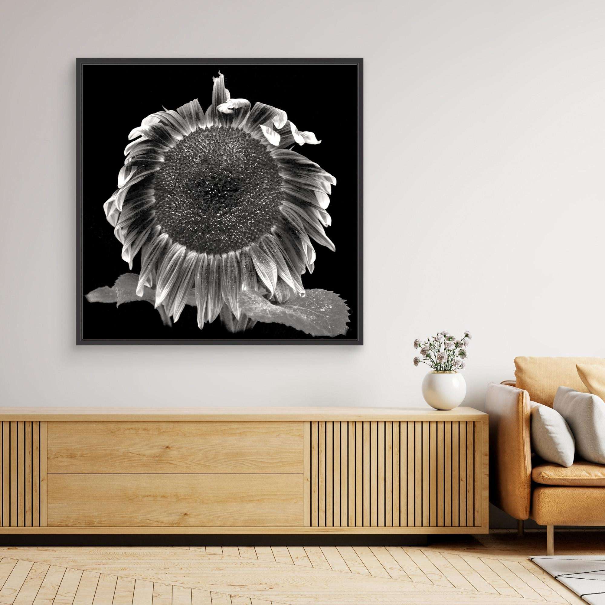 Sun Flower