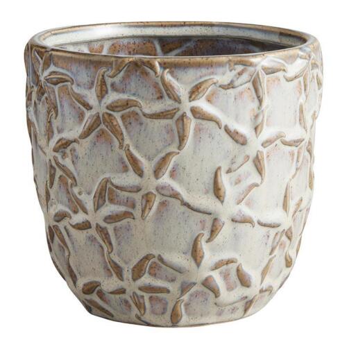 Starfish Embossed Pot