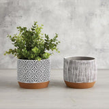 Floral Pot 4.7" H